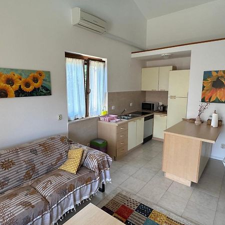Apartman Lucija Rovigno Esterno foto